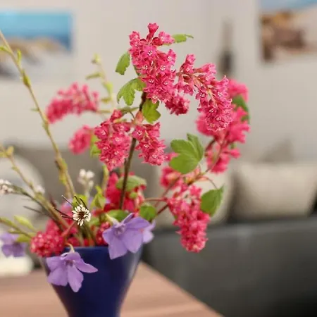 Haus Seestern Mit Strandkorb Inkl